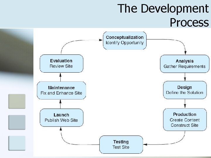 The Development Process n Life cycle 6 