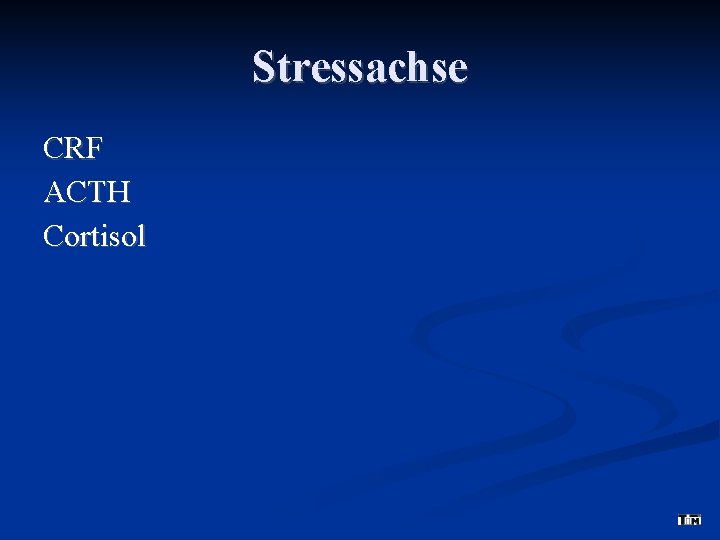 Stressachse CRF ACTH Cortisol 