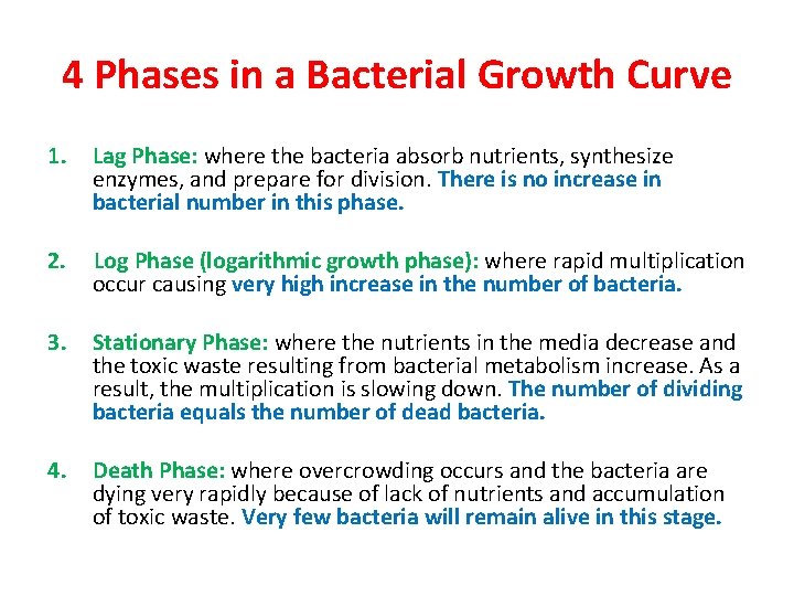 4 Phases in a Bacterial Growth Curve 1. Lag Phase: where the bacteria absorb