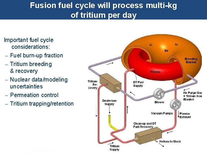 Fusion fuel cycle will process multi-kg of tritium per day Important fuel cycle considerations: