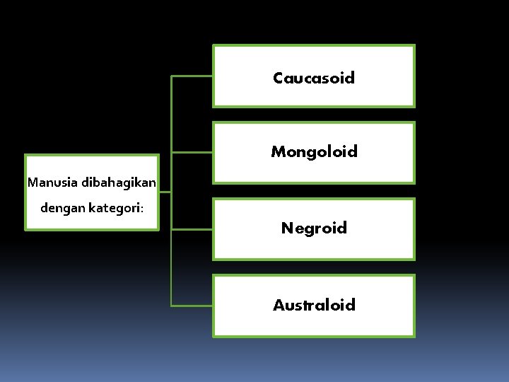 Caucasoid Mongoloid Manusia dibahagikan dengan kategori: Negroid Australoid Caucasoid Mongoloid Manusia dibahagikan dengan kategori: Negroid Australoid