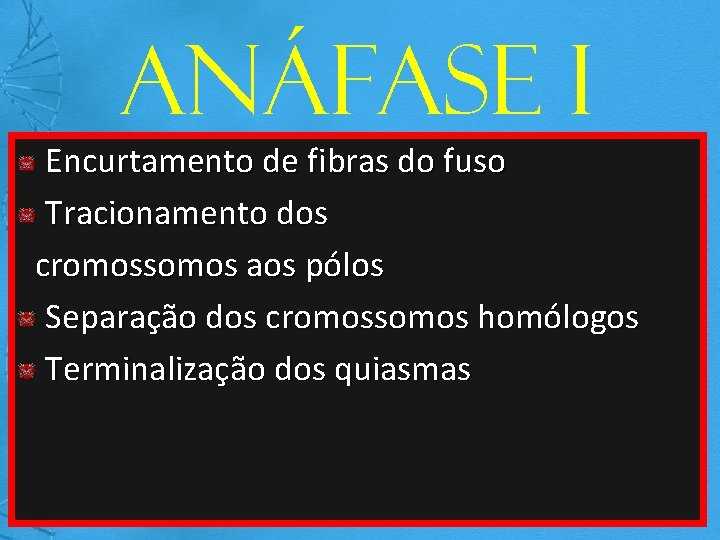 Anáfase I Encurtamento de fibras do fuso Tracionamento dos cromossomos aos pólos Separação dos