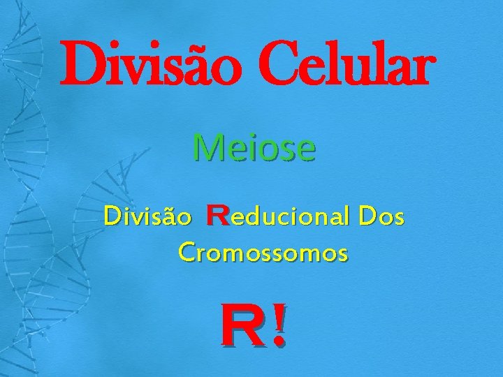 Divisão Celular Meiose Divisão Reducional Dos Cromossomos R! 