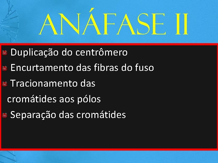 Anáfase II Duplicação do centrômero Encurtamento das fibras do fuso Tracionamento das cromátides aos