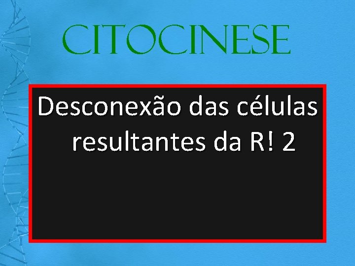 Citocinese Desconexão das células resultantes da R! 2 