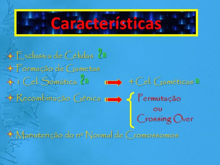 Características Exclusiva de Células 2 n Formação de Gametas 1 Cel. Somática 2 n