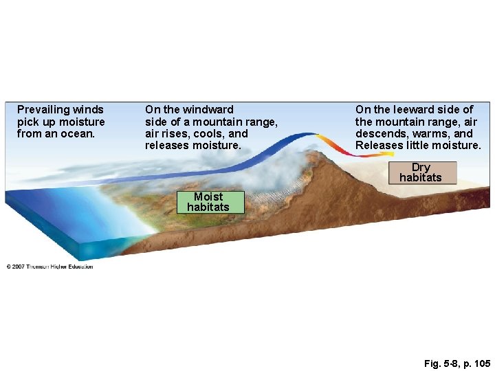 Prevailing winds pick up moisture from an ocean. On the windward side of a