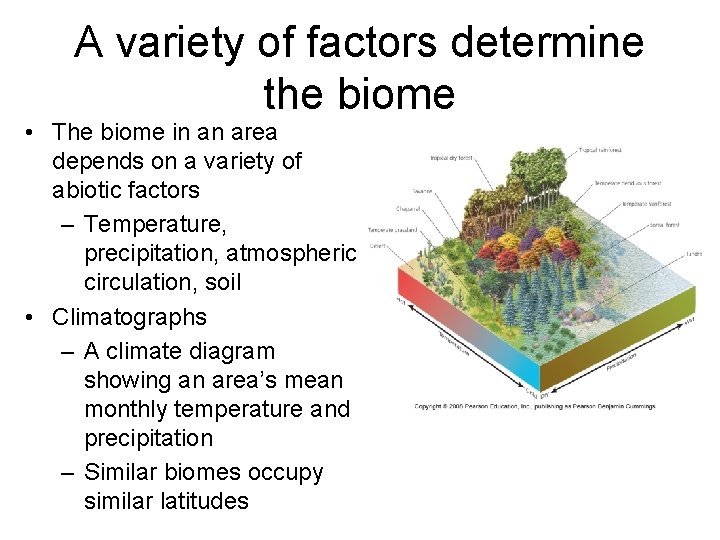 A variety of factors determine the biome • The biome in an area depends