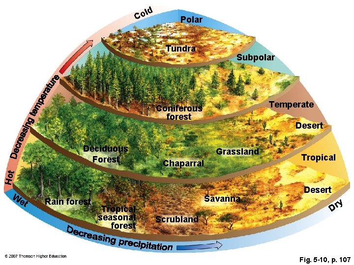 ld Co Polar Tundra Subpolar Temperate Coniferous forest Grassland Chaparral Hot Deciduous Forest Desert