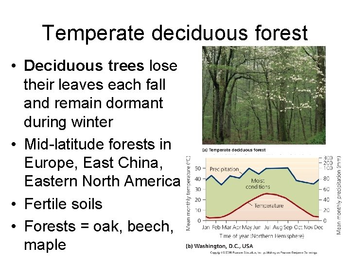 Temperate deciduous forest • Deciduous trees lose their leaves each fall and remain dormant