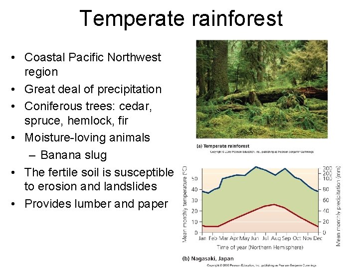 Temperate rainforest • Coastal Pacific Northwest region • Great deal of precipitation • Coniferous