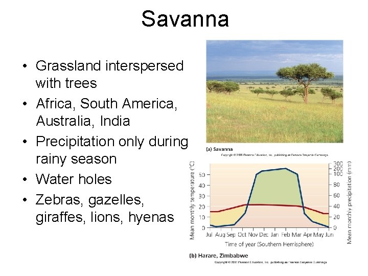 Savanna • Grassland interspersed with trees • Africa, South America, Australia, India • Precipitation