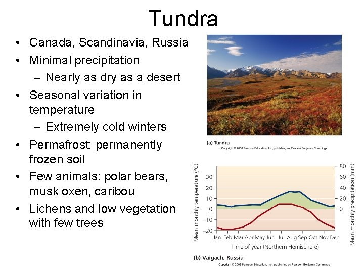 Tundra • Canada, Scandinavia, Russia • Minimal precipitation – Nearly as dry as a