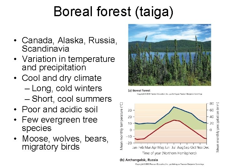 Boreal forest (taiga) • Canada, Alaska, Russia, Scandinavia • Variation in temperature and precipitation