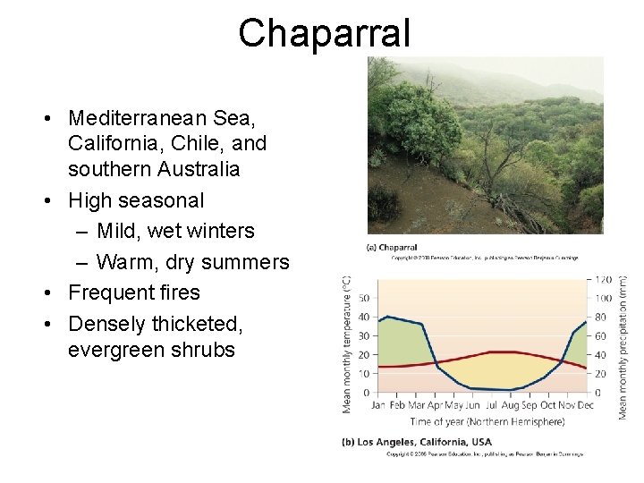 Chaparral • Mediterranean Sea, California, Chile, and southern Australia • High seasonal – Mild,