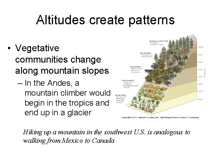 Altitudes create patterns • Vegetative communities change along mountain slopes – In the Andes,