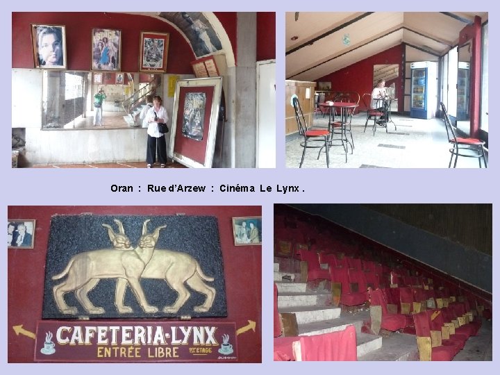 Oran : Rue d’Arzew : Cinéma Le Lynx. 