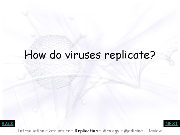 How do viruses replicate? BACK NEXT Introduction – Structure – Replication – Virology –