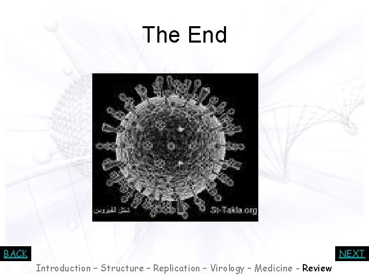 The End BACK NEXT Introduction – Structure – Replication – Virology – Medicine -