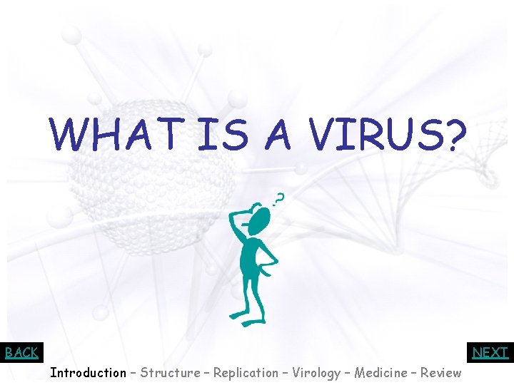 WHAT IS A VIRUS? BACK NEXT Introduction – Structure – Replication – Virology –