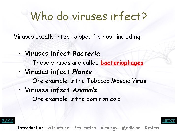 Who do viruses infect? Viruses usually infect a specific host including: • Viruses infect