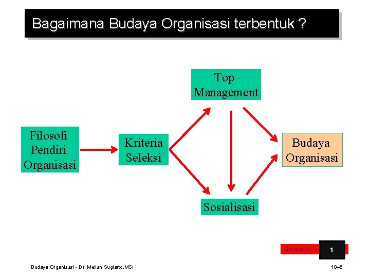 Bagaimana Budaya Organisasi terbentuk ? Top Management Filosofi Pendiri Organisasi Kriteria Seleksi Budaya Organisasi