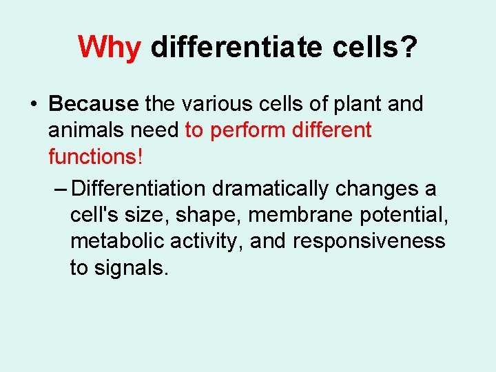 Why differentiate cells? • Because the various cells of plant and animals need to