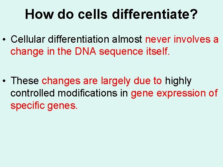 How do cells differentiate? • Cellular differentiation almost never involves a change in the