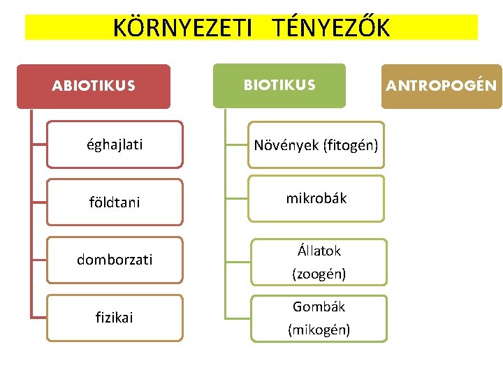 KÖRNYEZETI TÉNYEZŐK ABIOTIKUS éghajlati Növények (fitogén) földtani mikrobák domborzati Állatok (zoogén) fizikai Gombák (mikogén)