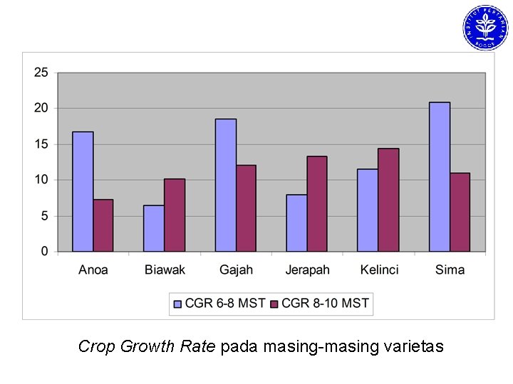 Crop Growth Rate pada masing-masing varietas 