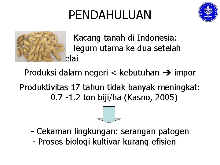 PENDAHULUAN Kacang tanah di Indonesia: legum utama ke dua setelah kedelai Produksi dalam negeri