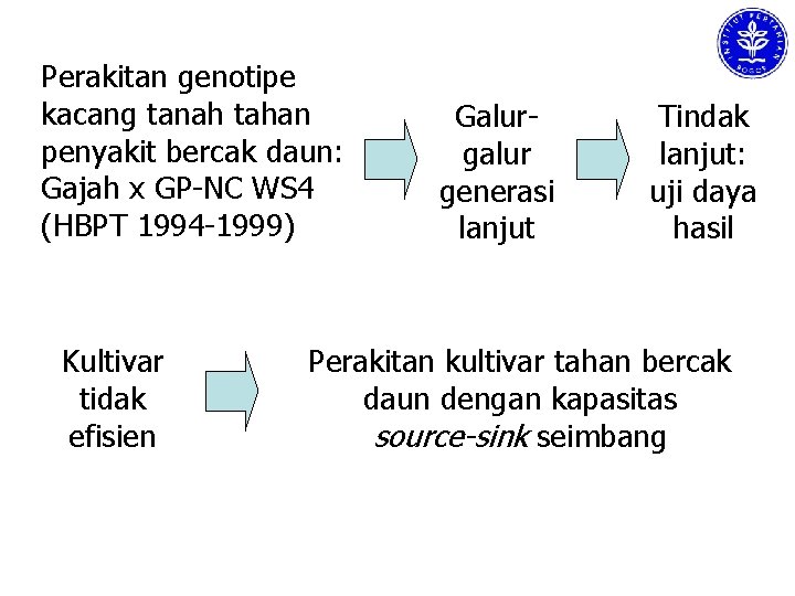 Perakitan genotipe kacang tanah tahan penyakit bercak daun: Gajah x GP-NC WS 4 (HBPT