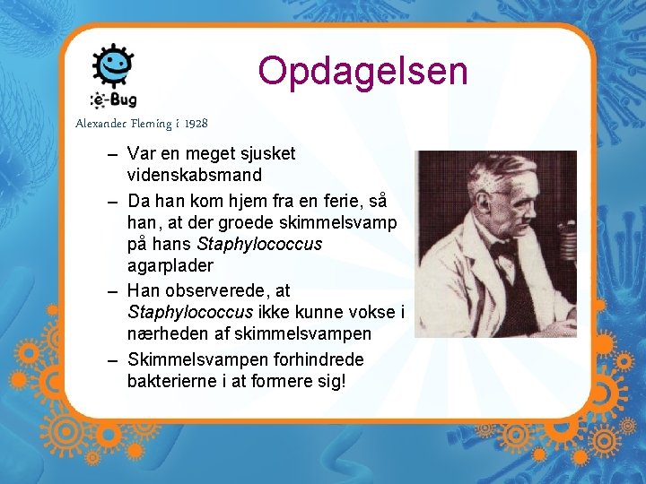 Opdagelsen Alexander Fleming i 1928 – Var en meget sjusket videnskabsmand – Da han