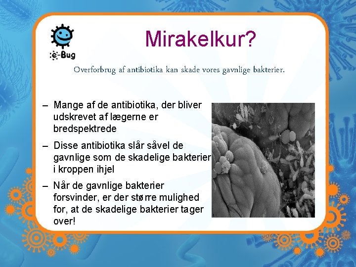 Mirakelkur? Overforbrug af antibiotika kan skade vores gavnlige bakterier. – Mange af de antibiotika,