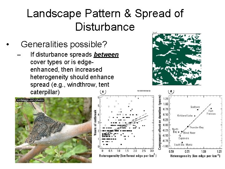 Landscape Pattern & Spread of Disturbance • Generalities possible? – If disturbance spreads between