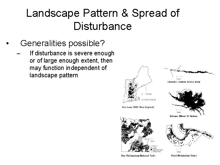 Landscape Pattern & Spread of Disturbance • Generalities possible? – If disturbance is severe