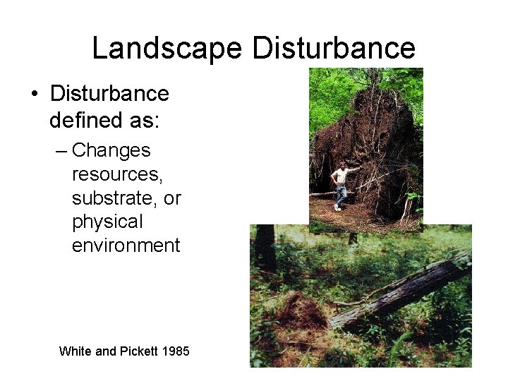 Landscape Disturbance • Disturbance defined as: – Changes resources, substrate, or physical environment White