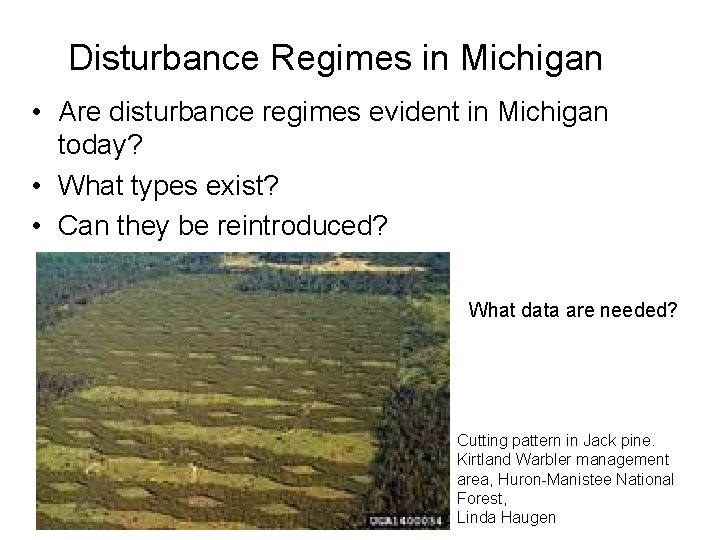 Disturbance Regimes in Michigan • Are disturbance regimes evident in Michigan today? • What