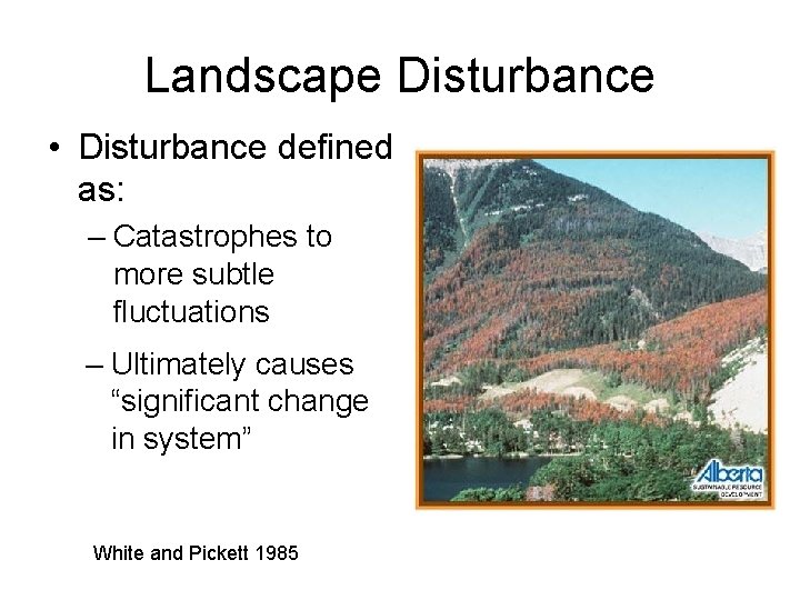 Landscape Disturbance • Disturbance defined as: – Catastrophes to more subtle fluctuations – Ultimately