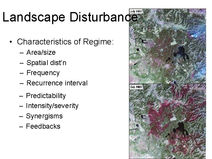 Landscape Disturbance • Characteristics of Regime: – – Area/size Spatial dist’n Frequency Recurrence interval