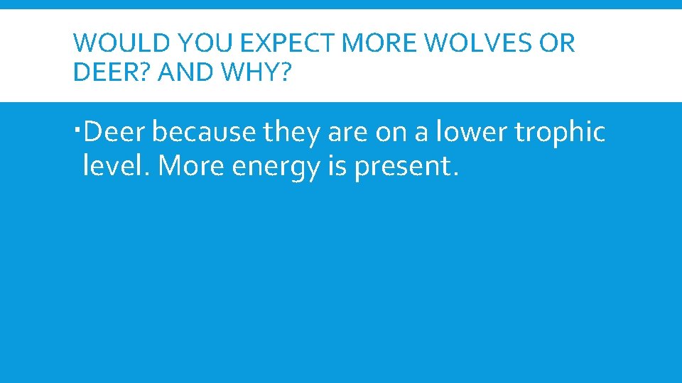 WOULD YOU EXPECT MORE WOLVES OR DEER? AND WHY? Deer because they are on
