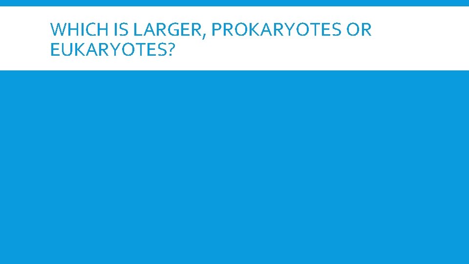 WHICH IS LARGER, PROKARYOTES OR EUKARYOTES? 