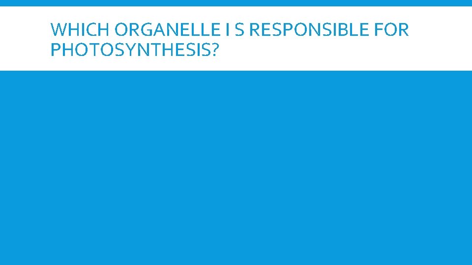 WHICH ORGANELLE I S RESPONSIBLE FOR PHOTOSYNTHESIS? 