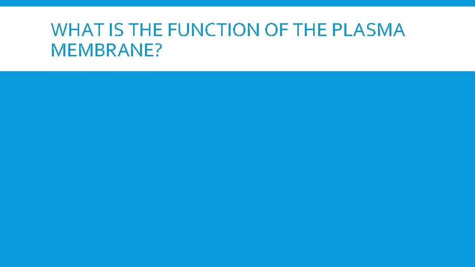 WHAT IS THE FUNCTION OF THE PLASMA MEMBRANE? 