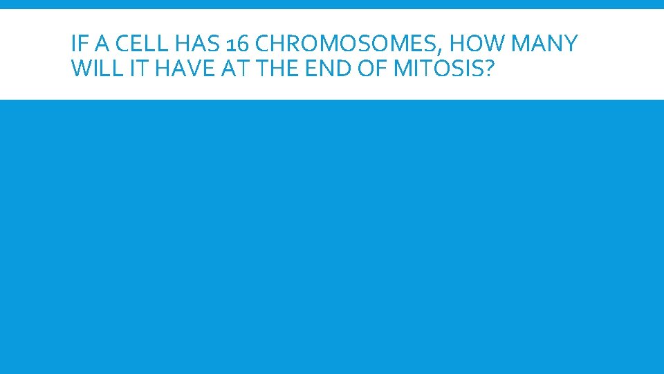 IF A CELL HAS 16 CHROMOSOMES, HOW MANY WILL IT HAVE AT THE END