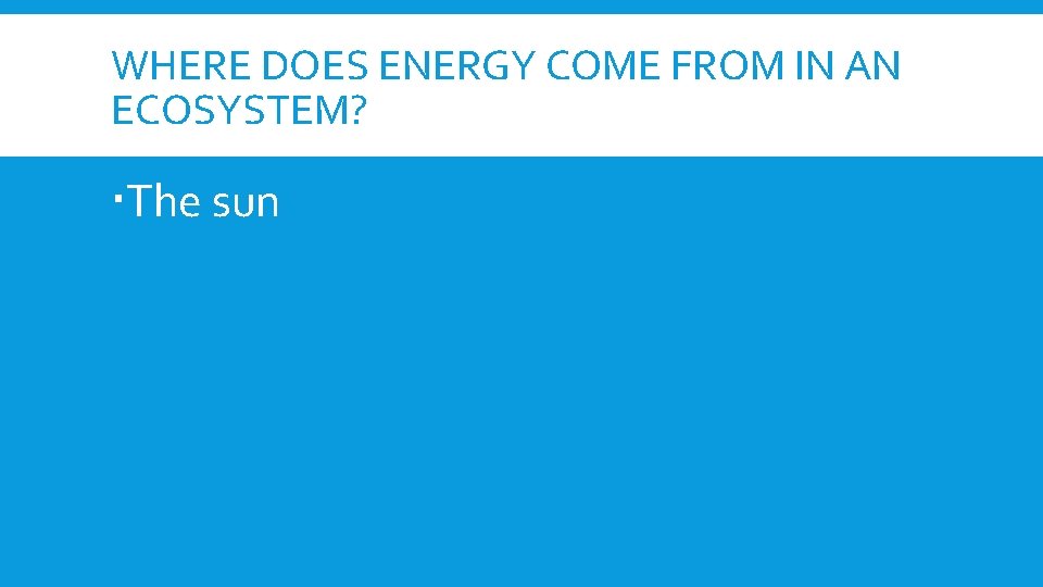 WHERE DOES ENERGY COME FROM IN AN ECOSYSTEM? The sun 