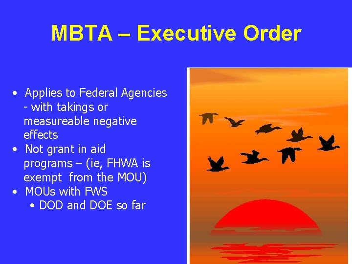 MBTA – Executive Order • Applies to Federal Agencies - with takings or measureable