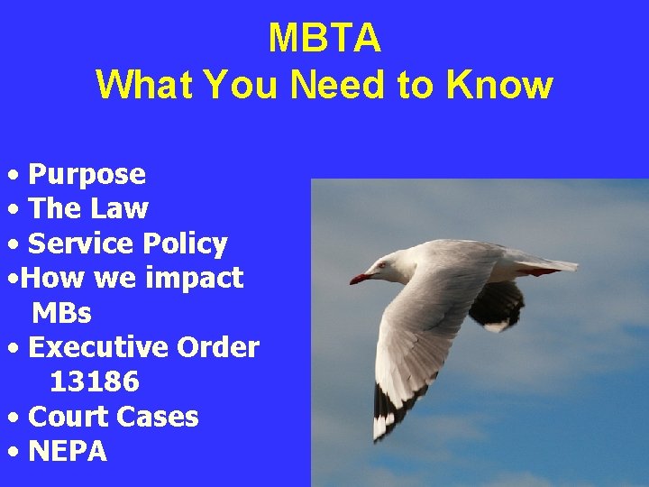 MBTA What You Need to Know • Purpose • The Law • Service Policy