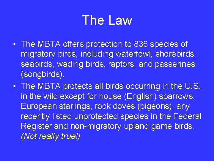 The Law • The MBTA offers protection to 836 species of migratory birds, including
