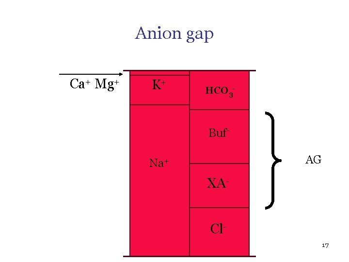 Anion gap Ca+ Mg+ K+ HCO 3 - Buf. AG Na+ XACl 17 